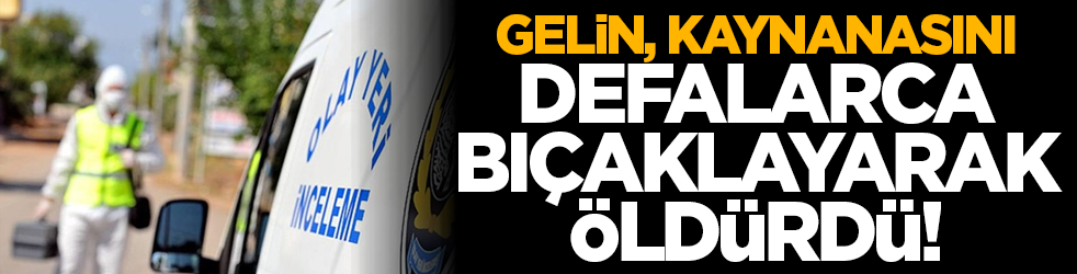 Gelin, kaynanasını defalarca bıçaklayarak öldürdü!