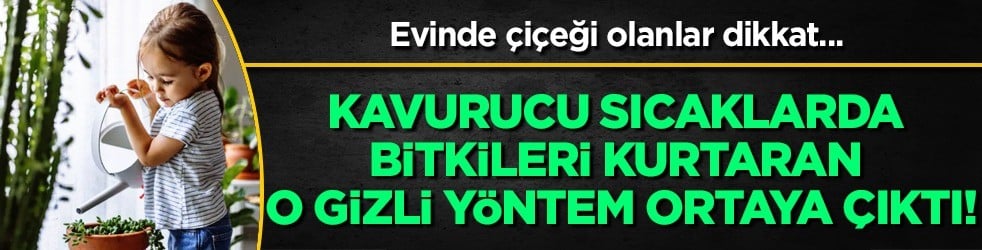 Gelin ve bu önerileri yapın! Evinde çiçeği olanlar, kavurucu sıcaklarda bitkilere bakın ne iyi gelir? 