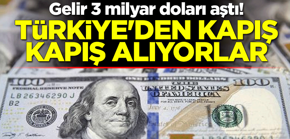 Gelir 3 milyar doları aştı! Türkiye'den kapış kapış alıyorlar