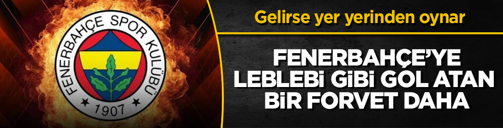 Gelirse yer yerinden oynar! Fenerbahçe’ye, leblebi gibi gol atan bir forvet daha