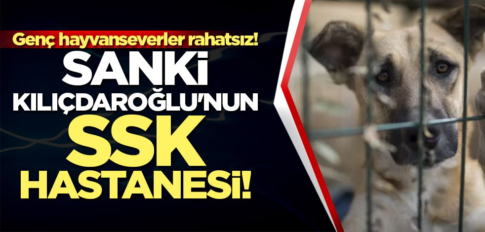 Genç hayvanseverler rahatsız!