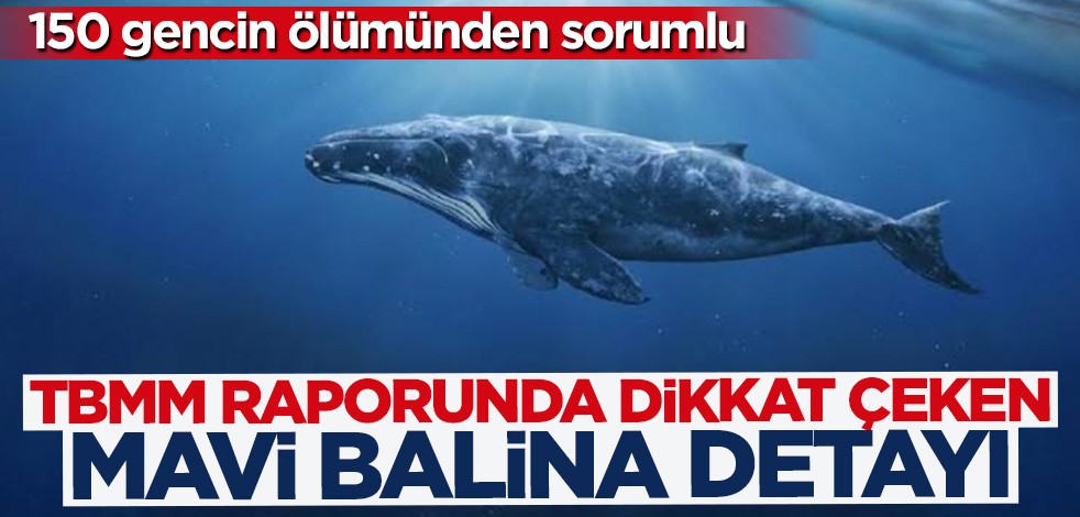 Gençlerin intiharları TBMM raporunda: Dikkat çeken Mavi Balina detayı