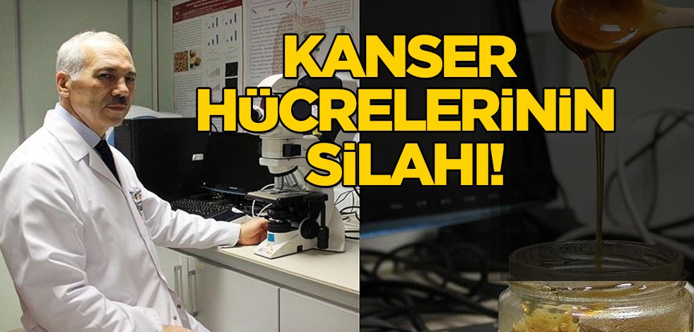 Genetik ve çevresel olan kanserin silahı: Siyah bal! Gribe neden olan pek çok virüs ile savaşıyor