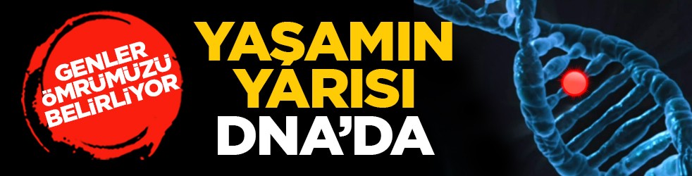 Genler ömrümüzü belirliyor: Yaşamın yarısı DNA’da