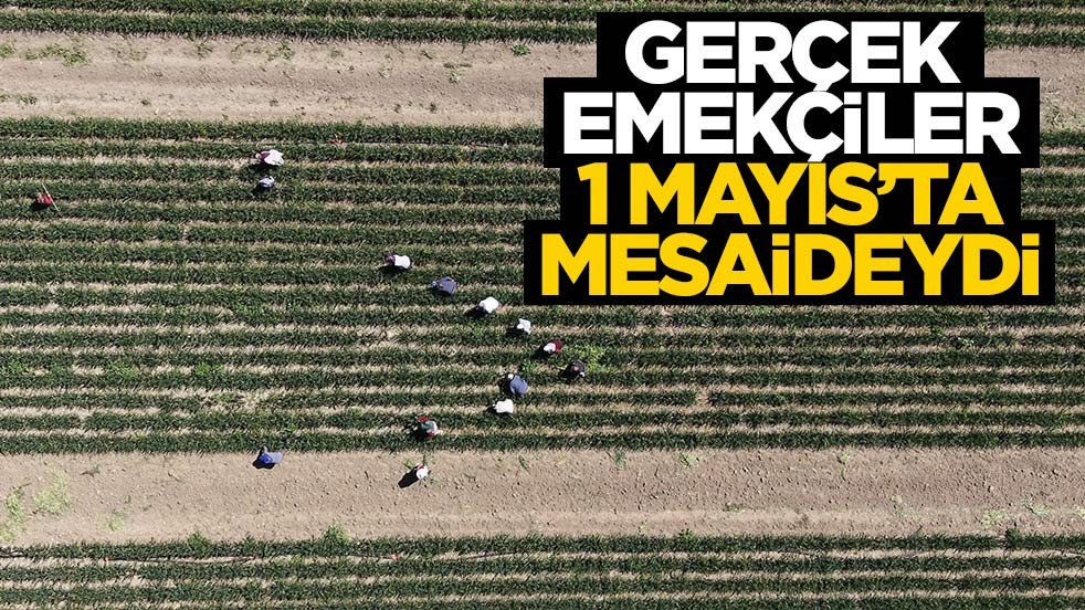 Gerçek emekçiler 1 Mayıs'ta güneş altında mesaideydi
