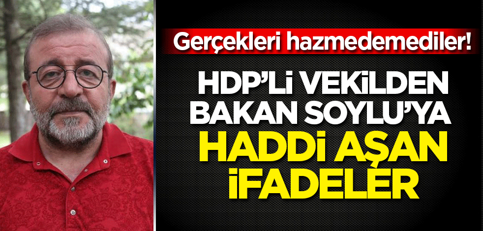Gerçekleri hazmedemediler: HDP'li vekilden Bakan Soylu'ya haddi aşan ifadeler