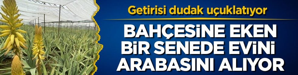 Getirisi dudak uçuklatıyor! Bahçesine eken, bir senede evini arabasını alıyor