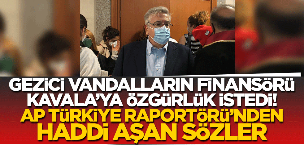 Gezi Davası'nı izleyen AP Türkiye Raportörü'nden haddi aşan sözler! 'Türk hükümeti bir fırsatı daha kaçırdı'