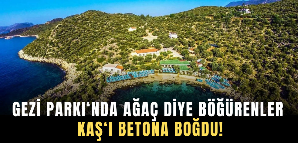 Gezi Parkı'nda ağaç diye böğürenler Kaş'ı betona boğdu!