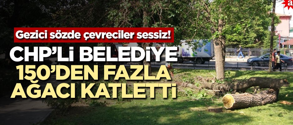 Gezici sözde çevreciler sessiz! CHP'li belediye 150’den fazla ağacı katletti!