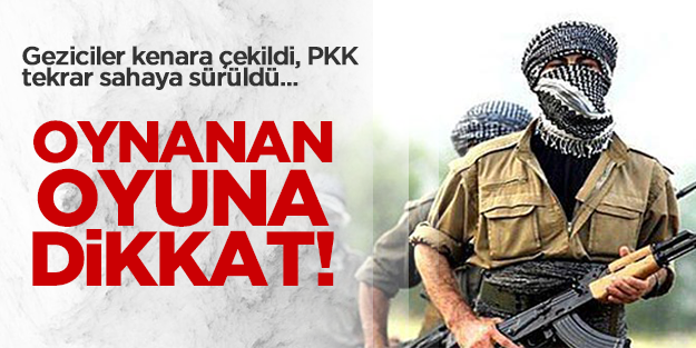 Geziciler kenara çekildi, PKK sahaya sürüldü!