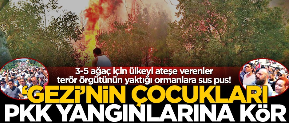 Gezi’nin çocukları PKK yangınlarına kör