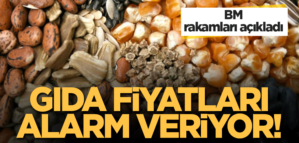 Gıda fiyatları alarm veriyor! BM rakamları açıkladı