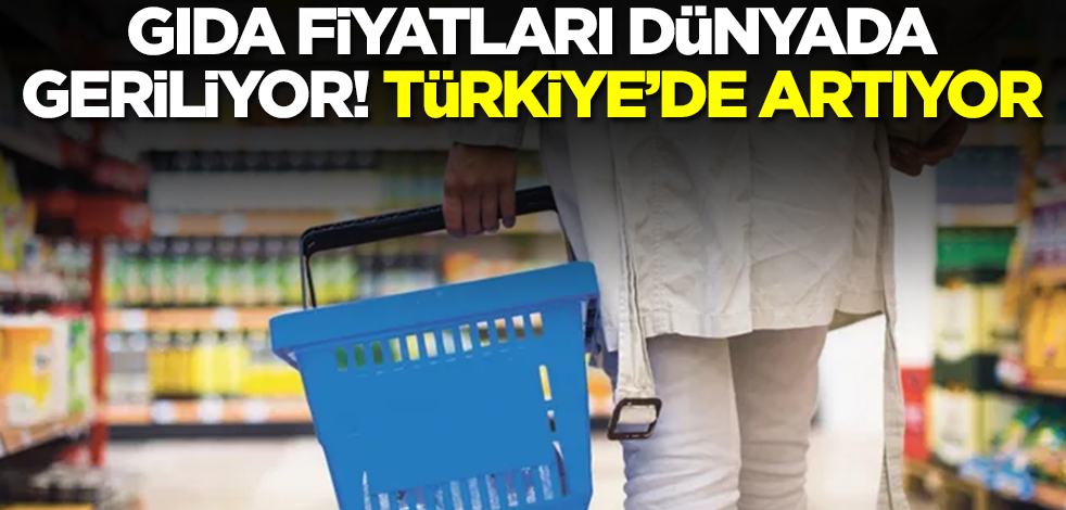 Gıda fiyatları dünyada geriliyor, Türkiye'de artıyor