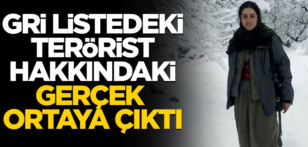 Gri listedeki terörist hakkındaki gerçek ortaya çıktı