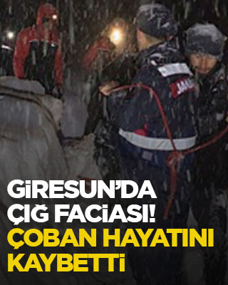 Giresun’da çığ faciası! Çoban hayatını kaybetti