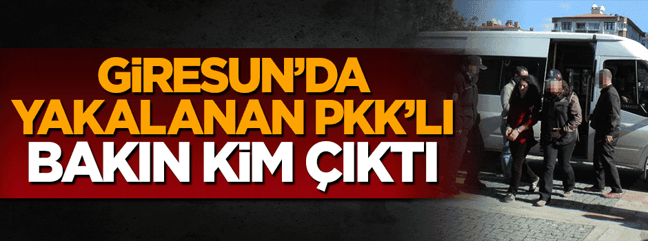 Giresun'da yakalanan PKK'lı HDP'nin milletvekili adayı çıktı