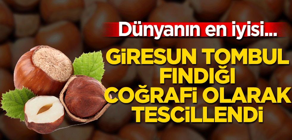 Giresun'un Tombul Fındığı, AB tarafından tescillendi
