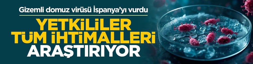 Gizemli domuz virüsü İspanya’yı vurdu: Yetkililer tüm ihtimalleri araştırıyor