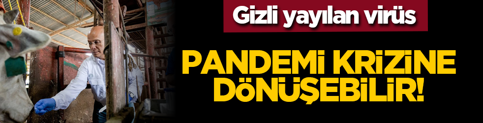 Gizli yayılan virüs: Pandemi krizine dönüşebilir!