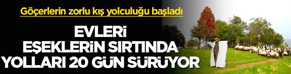 Göçerlerin zorlu kış yolculuğu başladı! Evleri eşeklerin sırtında, yolları 20 gün sürüyor