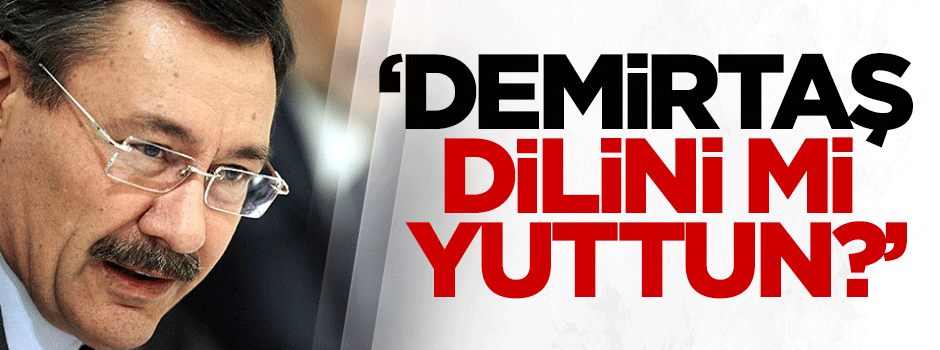 Gökçek: Demirtaş dilini mi yuttun?