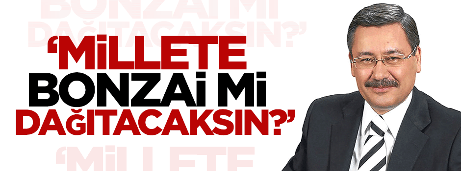 Gökçek: Millete bonzai mi dağıtacaksın?
