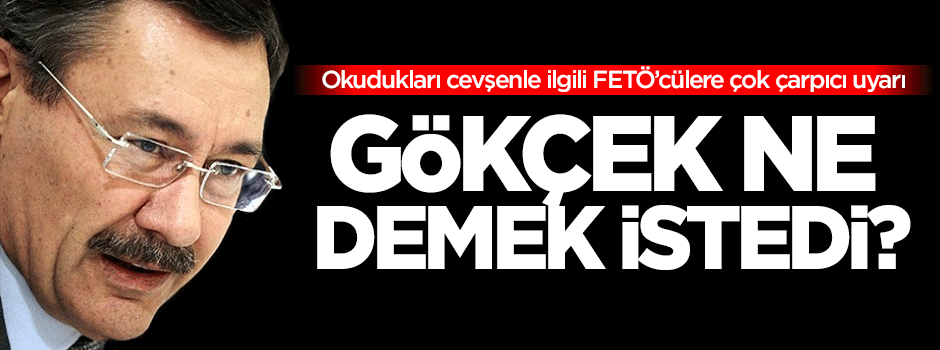 Gökçek ne demek istedi?