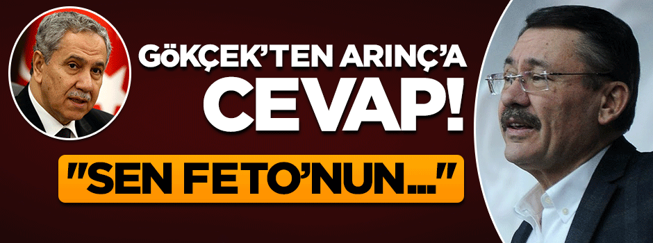 Gökçek'ten Arınç'a tek tweetlik cevap