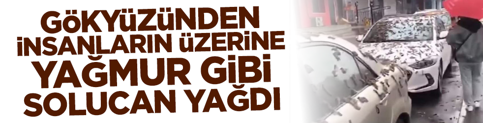 Gökyüzünden insanların üzerine yağmur gibi solucan yağdı!
