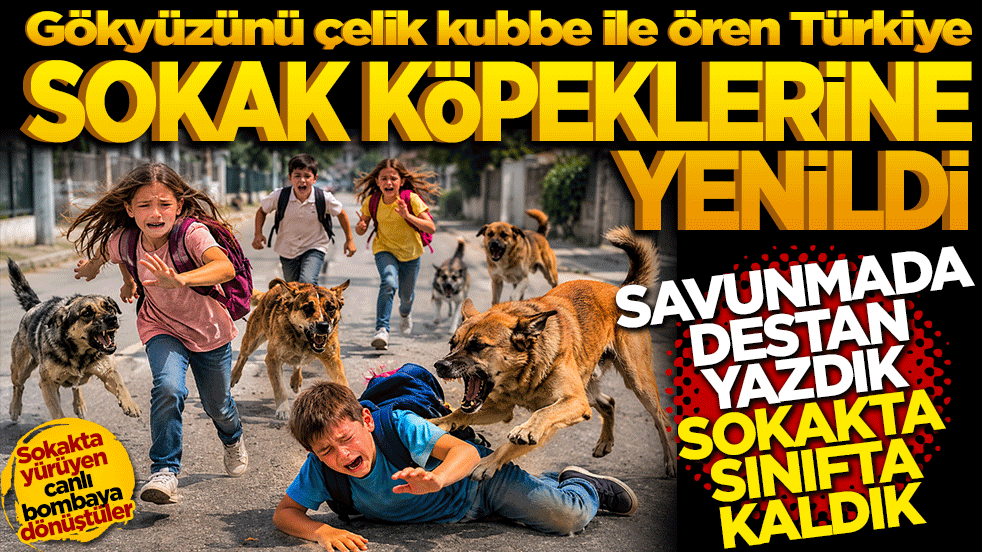Gökyüzünü çelik kubbe ile ören Türkiye Sokak köpeklerine karşı çaresiz kaldı! Savunmada destan yazdık, sokakta sınıfta kaldık