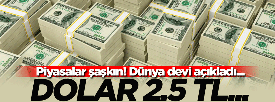 Goldman Sachs'a göre doların değeri 2.50 TL