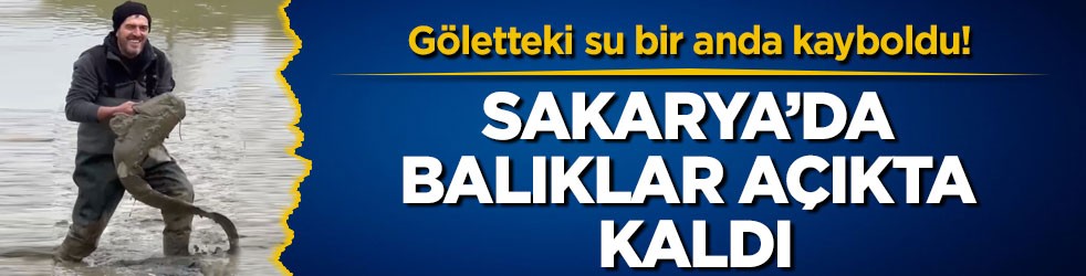 Göletteki su bir anda kayboldu! Sakarya’da balıklar açıkta kaldı