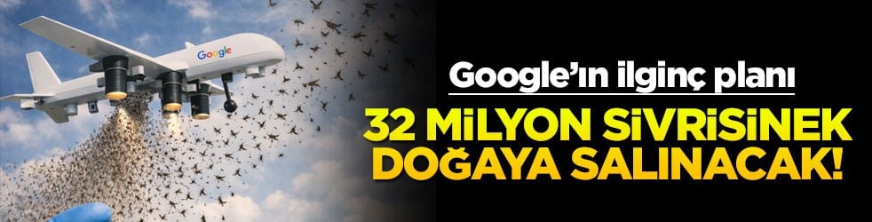 Google'ın ilginç planı: 32 milyon sivrisinek doğaya salınacak!