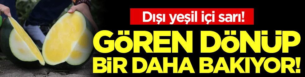Görenler dönüp bir daha bakıyor: Dışı yeşil içi sarı!