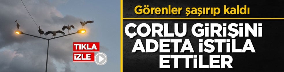 Görenler şaşırıp kaldı! Çorlu girişini adeta istila ettiler