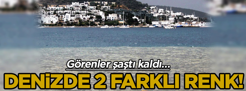 Görenler şaştı kaldı… Denizde 2 farklı renk!