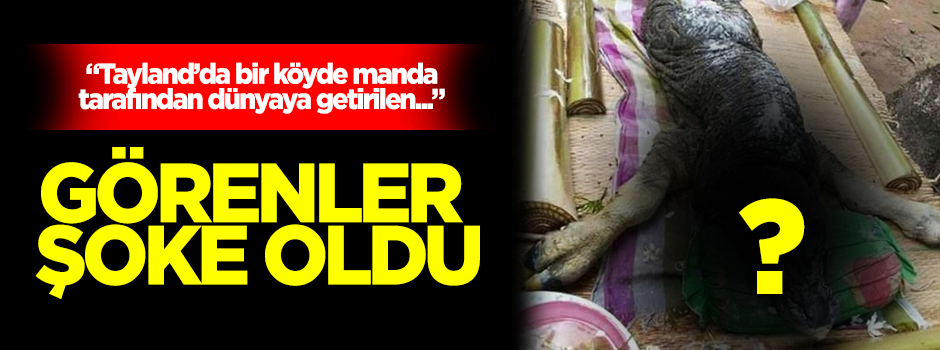 Görenler şoke oldu