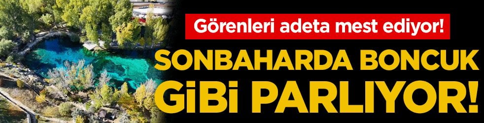 Görenleri adeta mest ediyor! Sonbaharda boncuk gibi parlıyor!