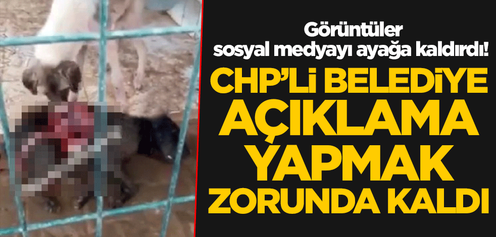 Görüntüler sosyal medyayı ayağa kaldırdı! CHP'li Belediye açıklama yapmak zorunda kaldı