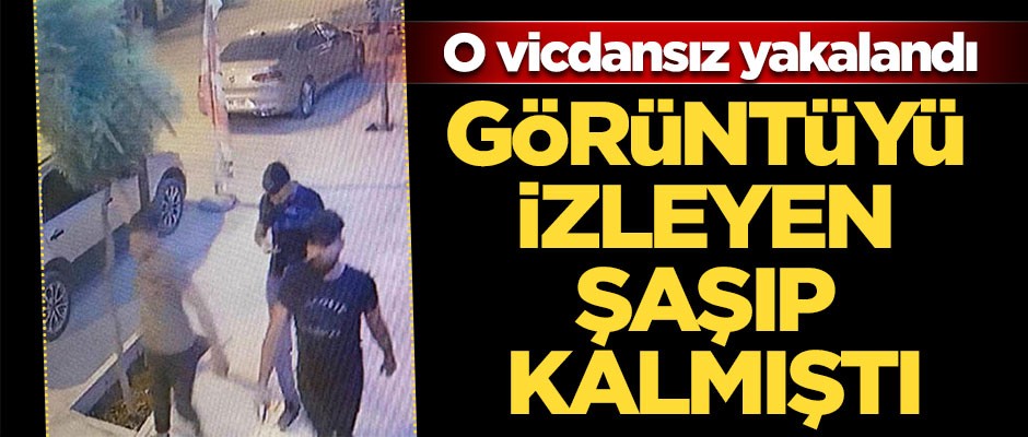 Görüntüyü izleyen şaşıp kalmıştı... O vicdansız yakalandı