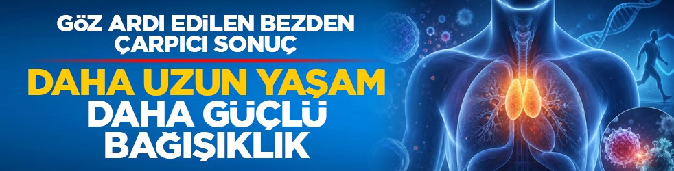 Göz ardı edilen bezden çarpıcı sonuç: Daha uzun yaşam, daha güçlü bağışıklık