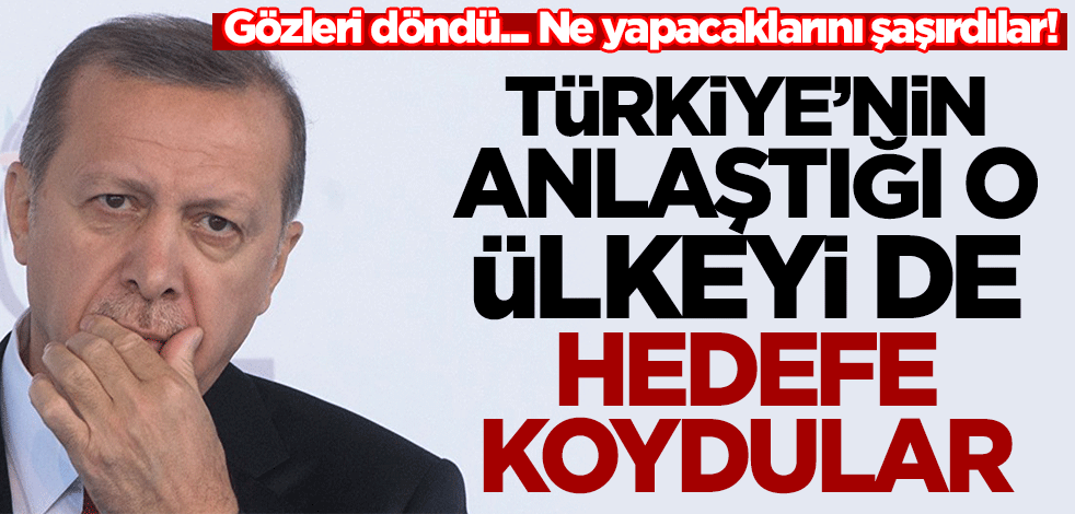 Gözleri döndü... Ne yapacaklarını şaşırdılar! Türkiye'nin anlaştığı Ukrayna'ya da boykot başladı