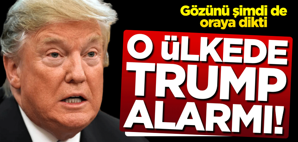Gözünü şimdi de oraya dikti! Danimarka'da Trump alarmı