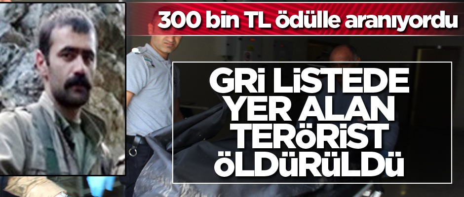 Gri listede 300 bin TL ödülle aranan terörist öldürüldü