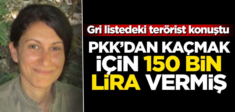 Gri listedeki terörist konuştu! PKK'dan kaçmak için 150 bin lira vermiş