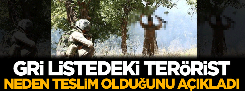 Gri listedeki terörist neden teslim olduğunu açıkladı