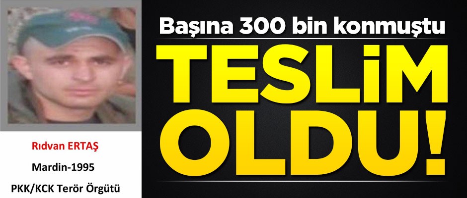 Gri listedeki terörist Rıdvan Ertaş teslim oldu