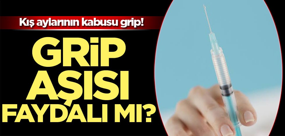 Grip Aşısı faydalı mı?
