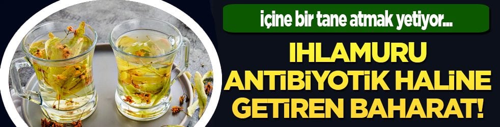 Grip, nezle ya da soğuk algınlığı... Ihlamuru antibiyotik haline getiren baharat!